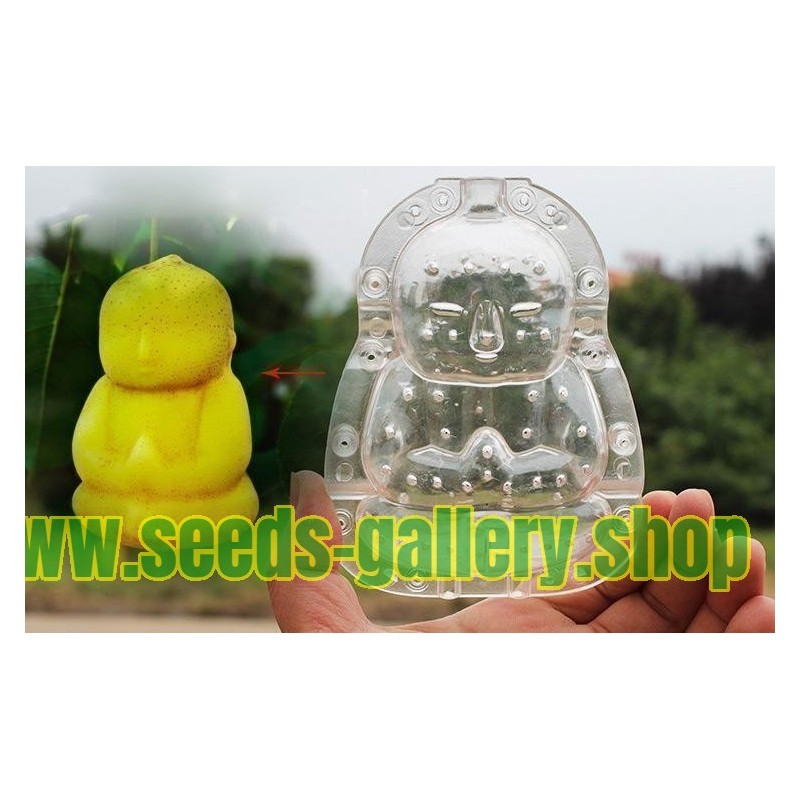Fruit Mold In The Form Of Buddha Pear Muskmelon Price €1500 7868